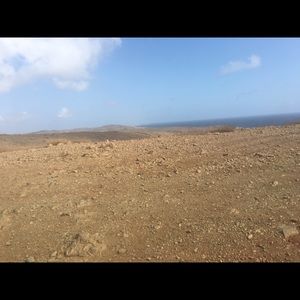 Meet your Posher, Liz